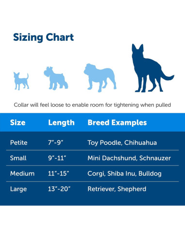 Collar Martingale PetSafe con Hebilla Rápido Desenganche 2,54cm Azul