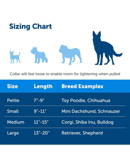 Collar Martingale PetSafe con Hebilla Rápido Desenganche 2,54cm Azul Collar Martingale PetSafe con Hebilla Rápido Desenganche 2,54cm Azul