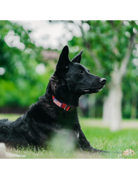 Collar Martingale LUCKYDC Rojo Ajustable para Perros Grandes