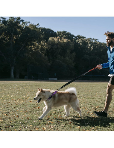 Collar Martingale LUCKYDC Rojo Ajustable para Perros Grandes