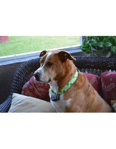 Collar de Reemplazo CollarSafe 1" Ancho Huesos Rosados