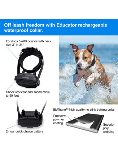 Sistema de Contención Subterránea Educador PF-1000-BK para Perros