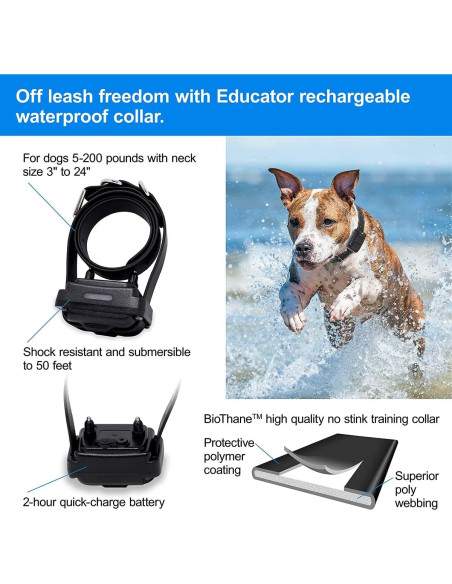 Sistema de Contención Subterránea Educador PF-1000-BK para Perros