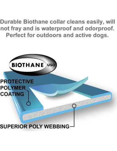 Sistema de Contención Subterránea Educador PF-1000-BK para Perros