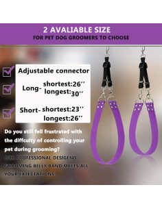 Cinturón de Aseo para Perros DISCPETSEC Turquesa 2" Ancho 2