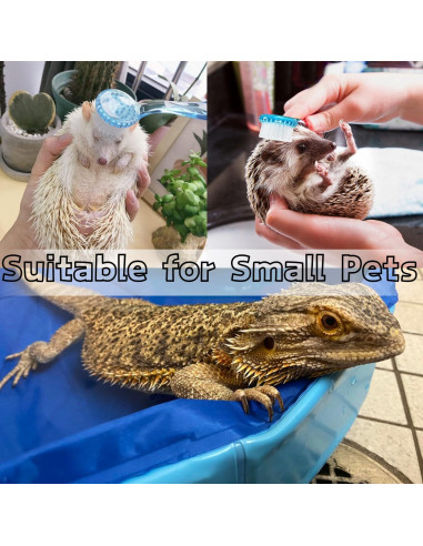 Baera Plegable TTMIMIK para Dragones Barbados 30x10cm