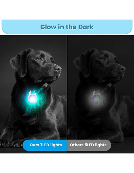 Collar LED recargable para perro POEEY con luz RGB 2Pack