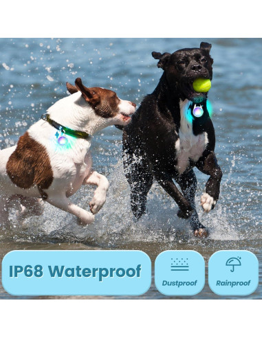 Collar LED recargable para perro POEEY con luz RGB 2Pack
