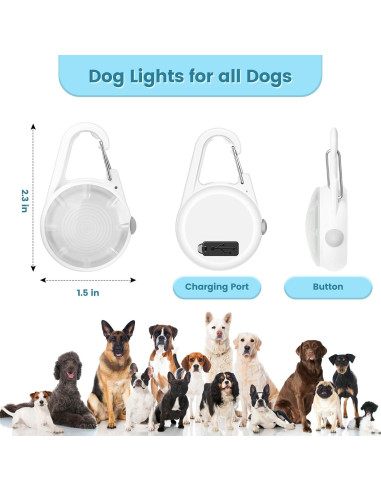 Collar LED recargable para perro POEEY con luz RGB 2Pack