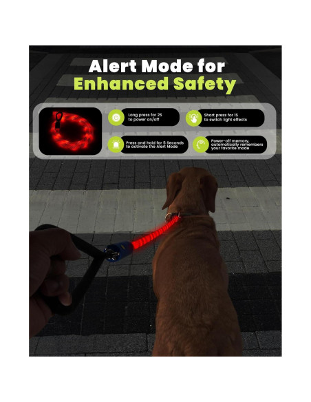 Correa LED para Perros XEUCH 5 Pies Recargable 13 Modos