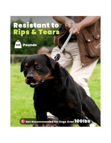 Correa LED para Perros XEUCH 5 Pies Recargable 13 Modos