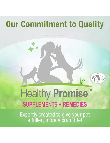 Jeringa de Alimentación para Mascotas Cuatro Patas 13cm