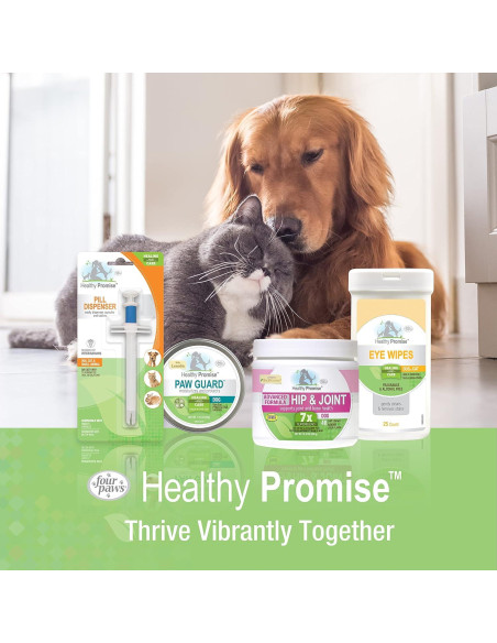 Jeringa de Alimentación para Mascotas Cuatro Patas 13cm