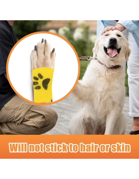 6 Rollos Vendaje Veterinario Kreyfer 5 m x 5 cm Autoadhesivo