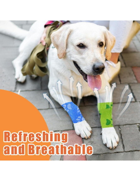 6 Rollos Vendaje Veterinario Kreyfer 5 m x 5 cm Autoadhesivo