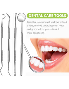 Kit de Higiene Oral Profesional PARYUNGR - Acero Inoxidable 2