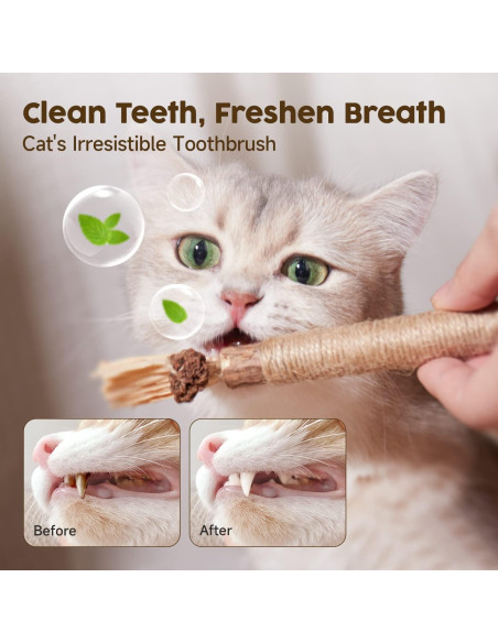 3 Palos Naturales Silvervine Potaroma para Gatos 12 cm