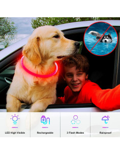 Collar LED Iluminado Dlitk Rojo para Perros Cortable 70 cm 2