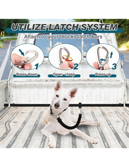 Correa de Seguridad para Perros Clysee - Ajustable SUV