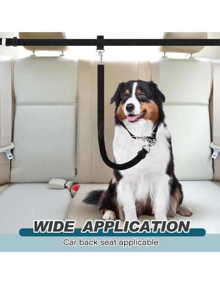 Correa de Seguridad para Perros Clysee - Ajustable SUV