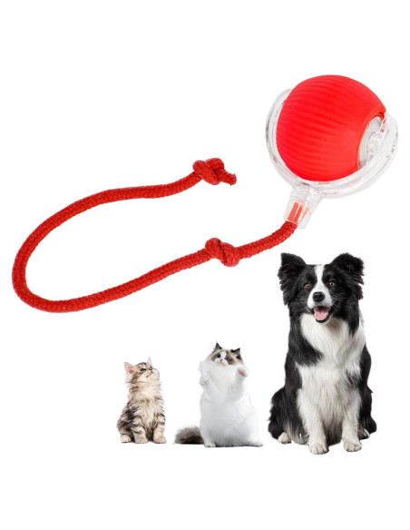 Bola Interactiva para Gatos y Perros KumCinm Roja 5cm