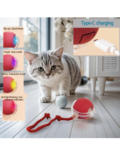 Bola Interactiva para Gatos y Perros KumCinm Roja 5cm 2