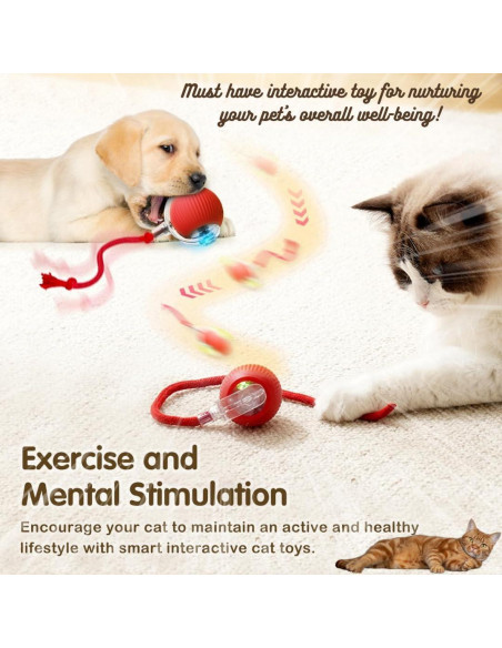 Bola Interactiva para Gatos y Perros Naturaceutica Gris