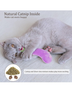 Juguetes para Gatos ETEKYER 5 Pcs con Hierba Gatera 2