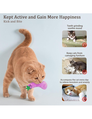 Juguetes para Gatos ETEKYER 5 Pcs con Hierba Gatera