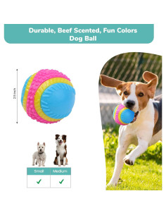 Pelota Sensorial SPOT para Perros 6.35 cm - TPR Duradera 2