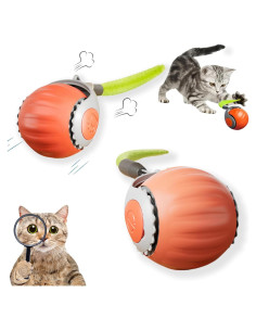 Juguete Interactivo para Gatos HuiCheDaWa Racing Tail 5.0