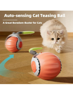 Juguete Interactivo para Gatos HuiCheDaWa Racing Tail 5.0 2