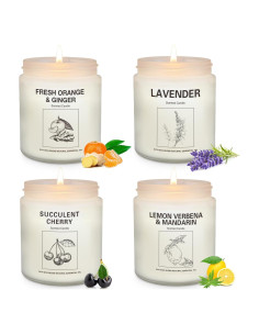 Velas Aromáticas de Cera de Soja Natural - 4 Aromas 201g