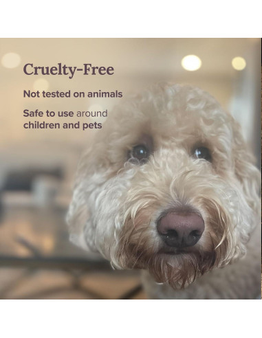 Vela Aromática Love Struck The Sunny Factory 170g 30h