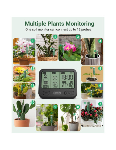 Medidor de Humedad del Suelo Dr.meter 4 en 1 LCD Verde