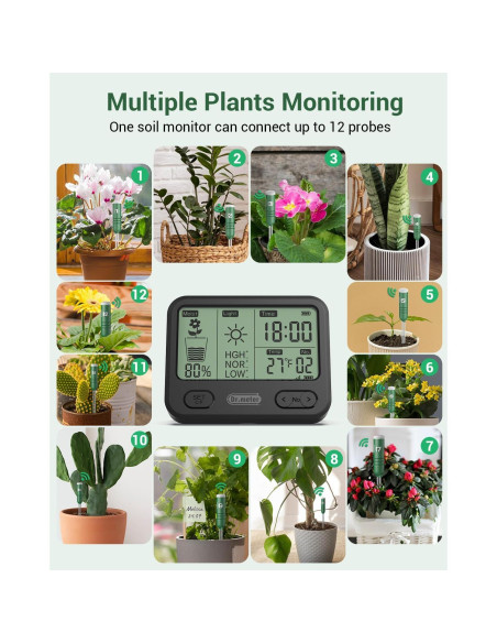 Medidor de Humedad del Suelo Dr.meter 4 en 1 LCD Verde