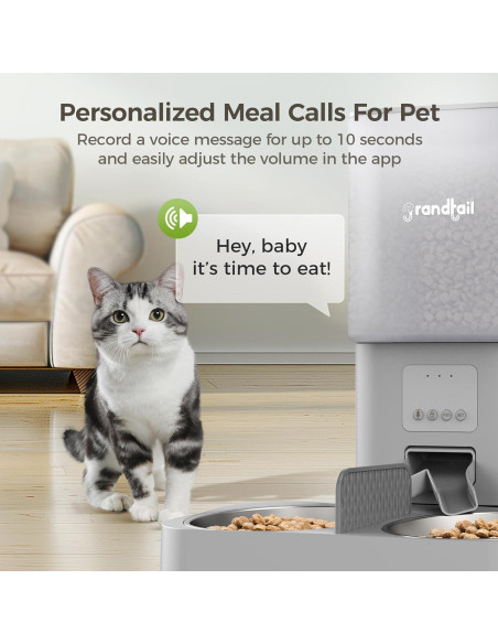 Dispensador Automático de Comida para Gatos Grandtail 6L