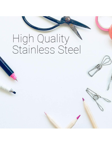 40 Pinzas de Ropa Acero Inoxidable FJCTER Duraderas