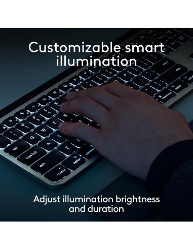 Combo Teclado y Ratón Inalámbricos Logitech MX Keys S Mac