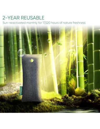 Absorbente de Olores Innmily de Carbón Activado - 6 Pzas