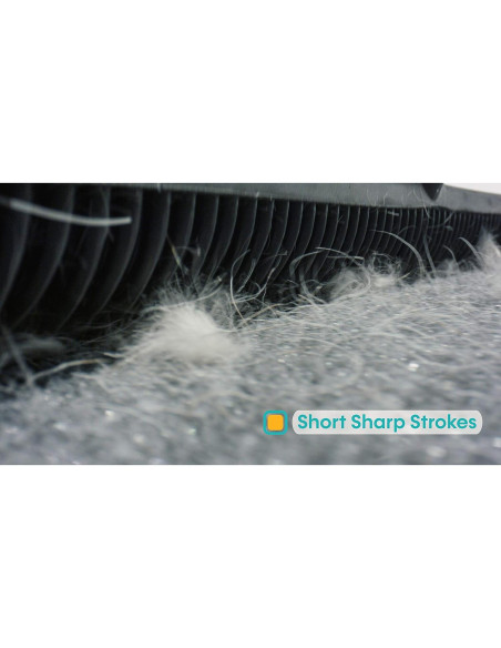 Juego de Escobas FURemover para Mascotas 2 Piezas 31.75 y 46.99 cm