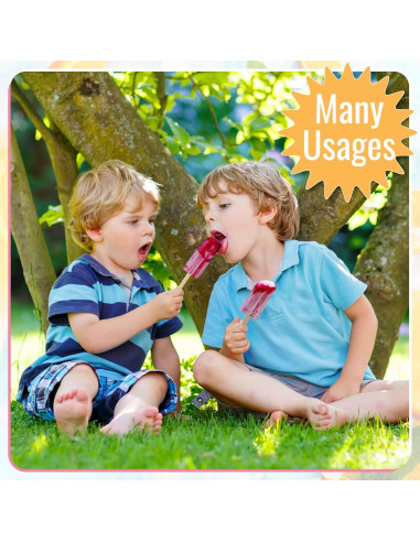 Juego de Moldes de Helados Hoolerry 4 Piezas Silicona 10 Cavidades