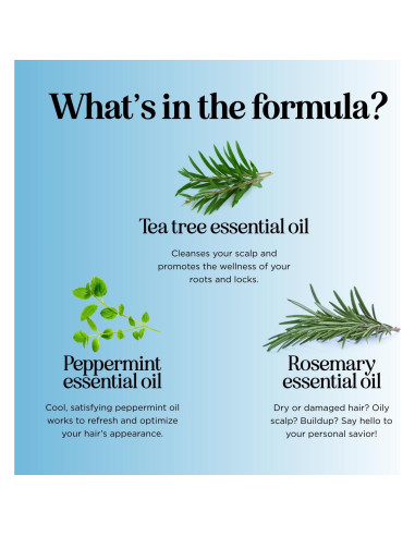 Set Champú y Acondicionador Maple Holistics 473 ml Menta