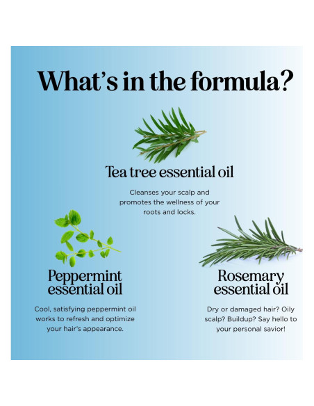 Set Champú y Acondicionador Maple Holistics 473 ml Menta Set Champú y Acondicionador Maple Holistics 473 ml Menta