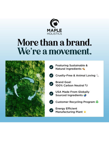Set Champú y Acondicionador Maple Holistics 473 ml Menta
