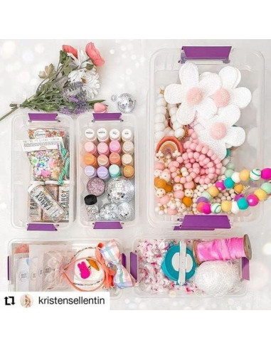 Cajas de Almacenamiento Plástico Tribello 6 Cuartos Apilables