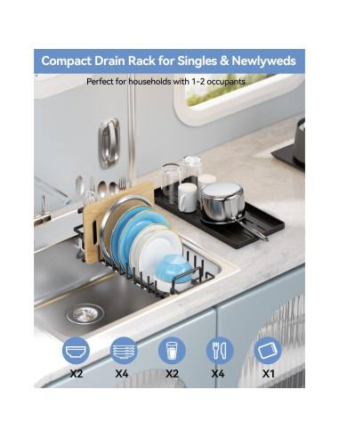 Escurridor de Platos LIONONLY Extensible Negro 36 cm