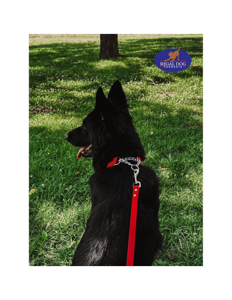 Collar Martingale Azul Regal Dog para Perros Pequeños - Biothane Impermeable