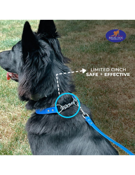 Collar Martingale Azul Regal Dog para Perros Pequeños - Biothane Impermeable