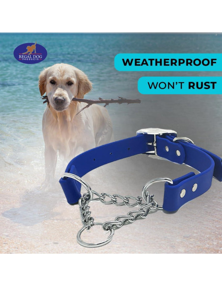 Collar Martingale Azul Regal Dog para Perros Pequeños - Biothane Impermeable